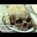 Investigating the Haitian Zombie