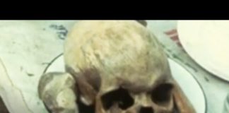 Investigating the Haitian Zombie