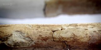 The Skeletons of Windy Pits