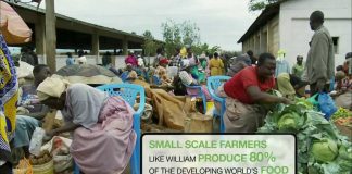 Life Apps: Silicon Savannah