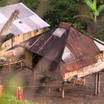 Where The Wild Coffee Grows