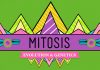 Crash Course – Biology – Mitosis – Splitting Up is Complicated