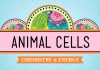 Crash Course – Biology – Eukaryopolis – The City of Animal Cells