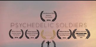 Psychedelic Soldiers