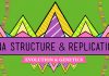 Crash Course – Biology – DNA Structure and Replication