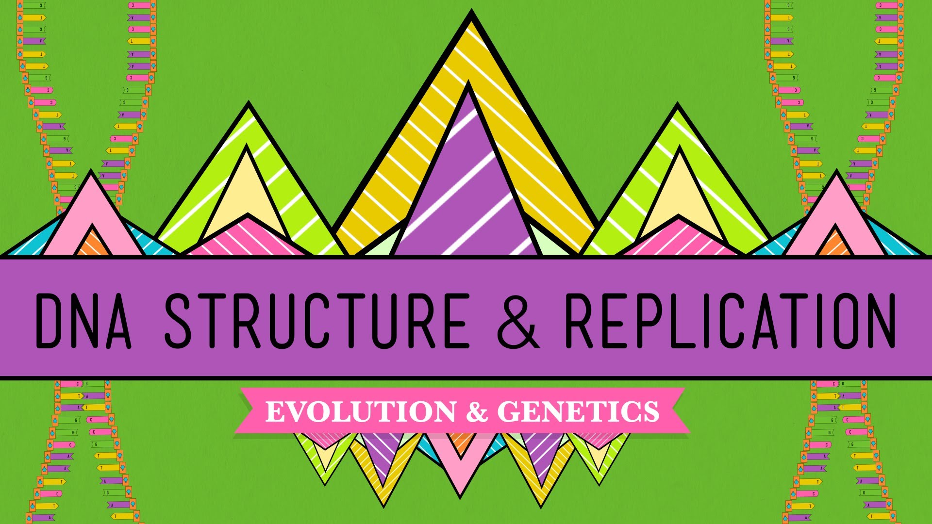 Crash Course Biology DNA Structure And Replication Gratis Global