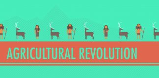 Crash Course: World History