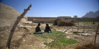 Afghanistan’s Billion Dollar Drug War