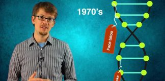 SciShow – Infusion – Epigenetics