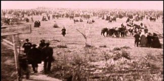 The Civil War: A Film by Ken Burns