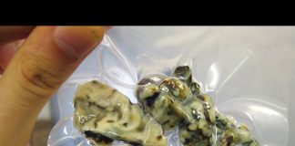 The Rise of Psychedelic Truffles in Amsterdam