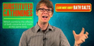 The Chemistry of Addictions