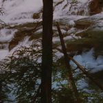 The National Parks: America’s Best Idea