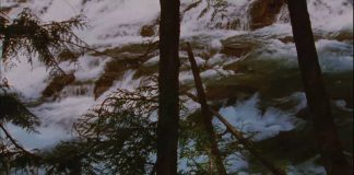 The National Parks: America’s Best Idea