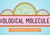 Crash Course – Biology – Biological Molecules – You Are What You Eat