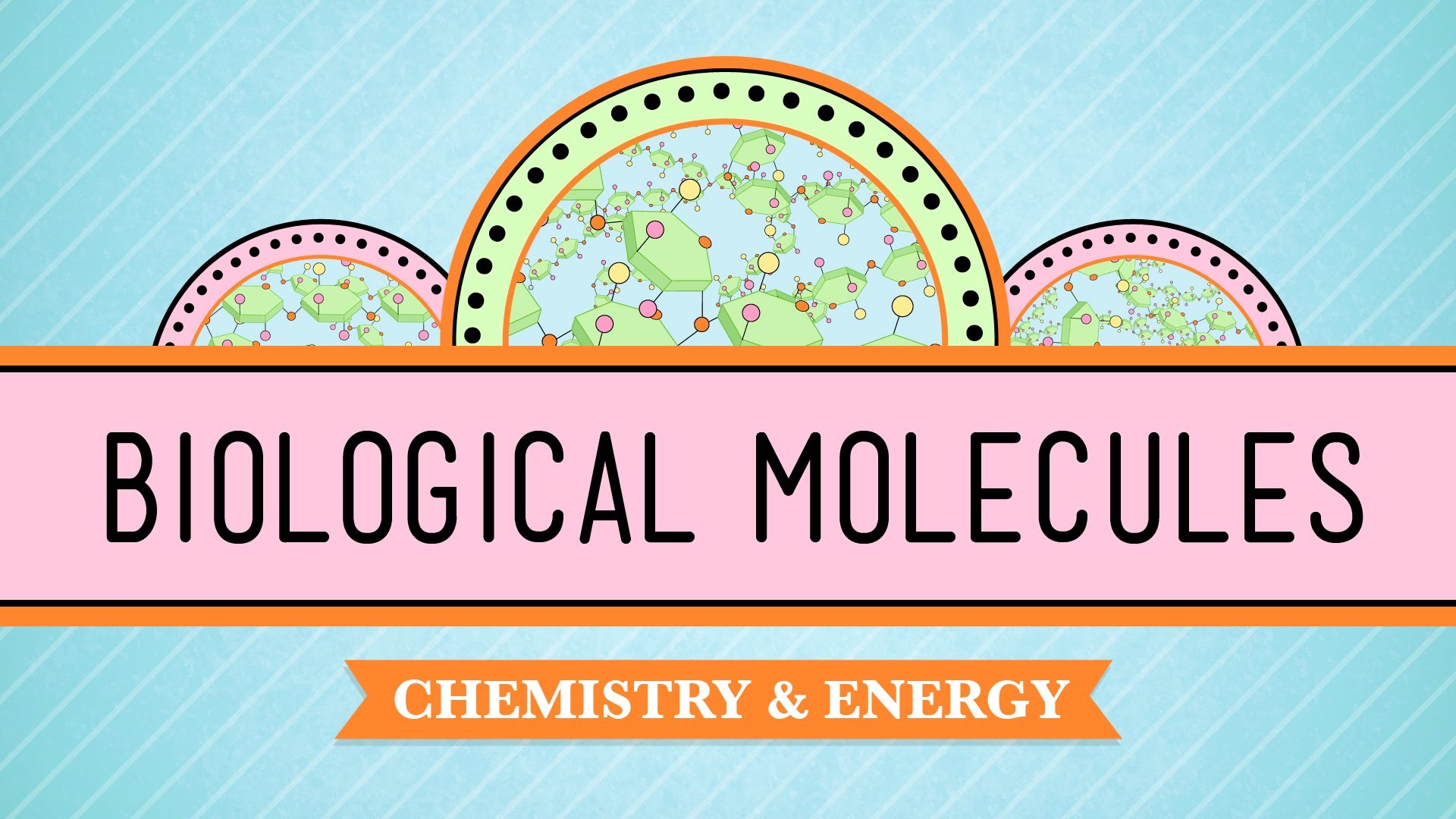 Crash Course Biology Biological Molecules Exploring the Fundamental