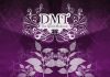 DMT – The Spirit Molecule