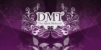 DMT – The Spirit Molecule