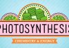 Crash Course – Biology – Photosynthesis