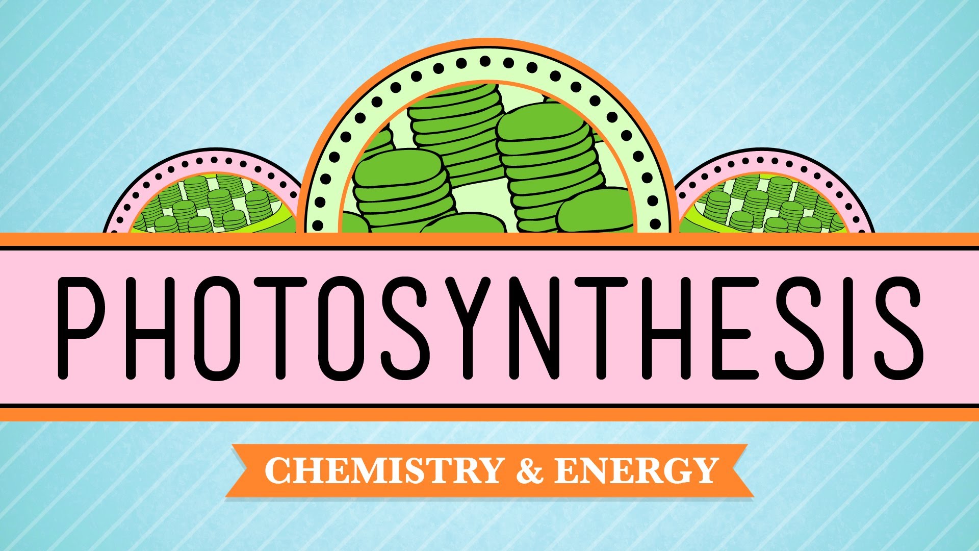 Crash course biology photosynthesis