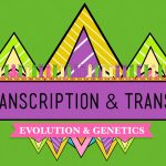 Crash Course – Biology – DNA, Hot Pockets, and The Longest Word Ever