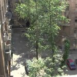 Witness – Eviction on Millionaires’ Street