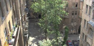 Witness – Eviction on Millionaires’ Street