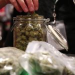 Marijuana Inc: Inside America’s Pot Industry