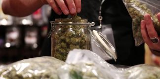 Marijuana Inc: Inside America’s Pot Industry