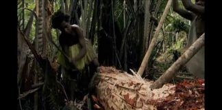 Guns, Germs, and Steel