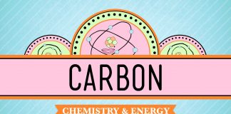 Crash Course: Biology