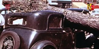 Mega Disasters: New York City Hurricane