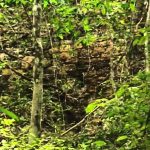 Who Killed the Maya?