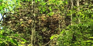 Who Killed the Maya?