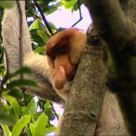 The Secret World of Plants