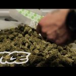 The Secrets of a Drug Dealer