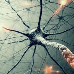 Athene’s Theory of Everything