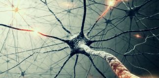 Athene’s Theory of Everything