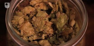 Seven Wonders of the Microbe World (combined)