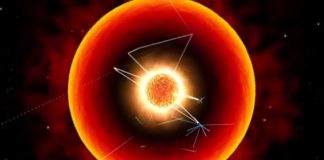 The Sun And Other Stars