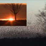 The Strange World of Nanoscience