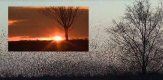 The Strange World of Nanoscience