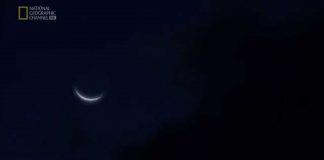 Headhunters of World War II