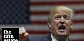 The Fire Breather: Donald Trump