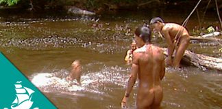 Natural Genius: Lotions, Creams, Combs, Unguents