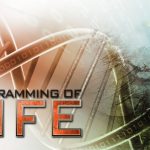 Programming of Life