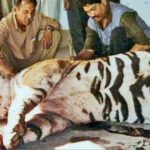 Dressed to Live: Wildlife Styles