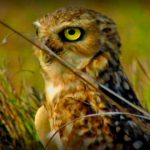 Lost Worlds: Venezuela: A Paradise in Hell