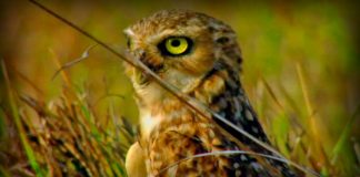 Lost Worlds: Venezuela: A Paradise in Hell