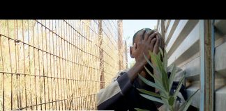 Life as an Illegal Immigrant in Greece